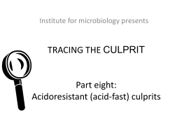 Diagnostics of acid-fast bacteria