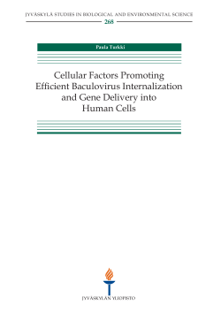 Cellular factors promoting efficient baculovirus internalization and