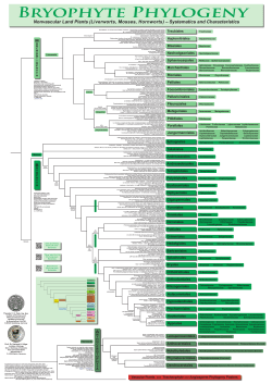 Bryophyte Phylogeny - Freie Universit&auml;t Berlin