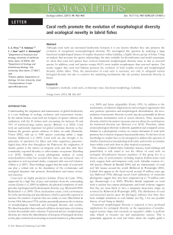 Coral reefs promote the evolution of morphological diversity and