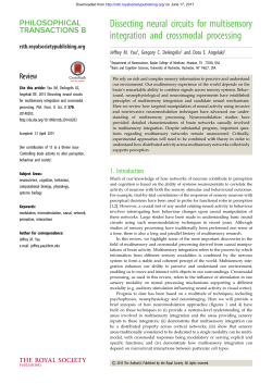 Dissecting neural circuits for multisensory integration and
