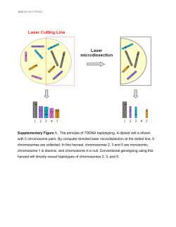 Supplementary Figure 1. The principle of
