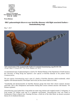 HKU palaeontologist discovers new bird