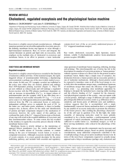 Cholesterol, regulated exocytosis and the physiological fusion