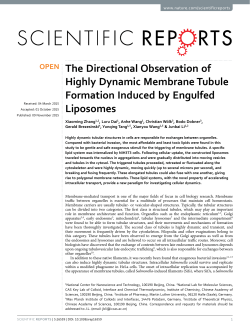 The Directional Observation of Highly Dynamic