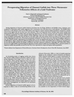 Pre-spawning Migration of Channel Catfish into Three Warmwater