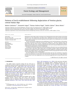 Patterns of larch establishment following deglaciation of Ventina