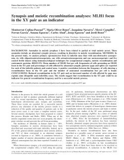 Synapsis and meiotic recombination analyses