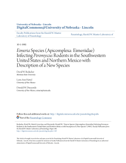 Eimeria Species (Apicomplexa: Eimeriidae)