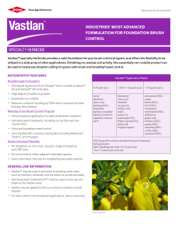 industries` most advanced formulation for foundation brush control