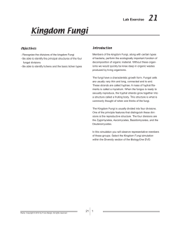 Kingdom Fungi - f