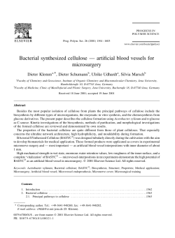 Bacterial synthesized cellulose &ndash; artificial blood vessels for