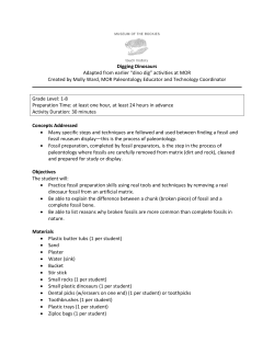 Digging Dinosaurs Adapted from earlier &ldquo;dino dig&rdquo; activities at MOR