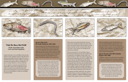 Fish We Have Met With - The Lewis and Clark Trail