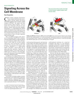 Signaling Across the Cell Membrane