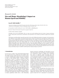 Size and Shape: Morphology`s Impact on Human Speed and Mobility