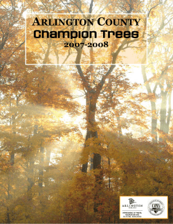 Arlington County Champion Tree