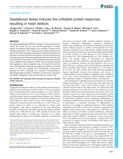 Gestational stress induces the unfolded protein