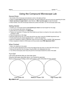 Using the compound microscope.docx