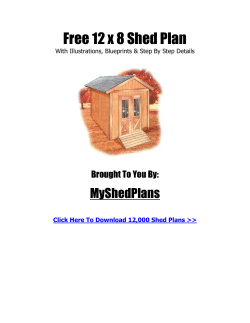 12` x 8` Basic Shed