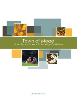 Master Plan - Town of Mead
