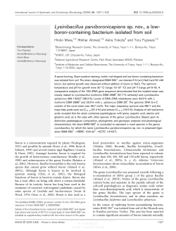 Lysinibacillus parviboronicapiens sp. nov., a low- boron