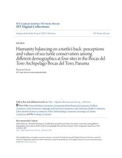 perceptions and values of sea turtle conservation among different