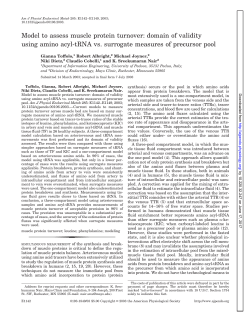 Model to assess muscle protein turnover: domain of validity using