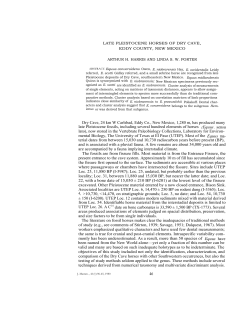 Dry Cave, 24 km W Carlsbad, Eddy Co., New Mexico, 1,280 m, has