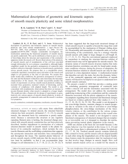 Mathematical description of geometric and kinematic aspects of