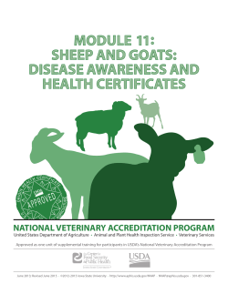 sheep and goats: disease awareness and health certificates
