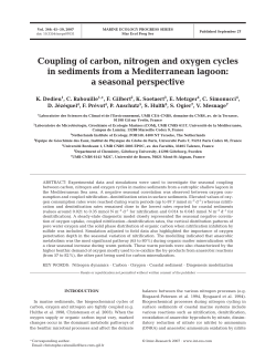 Coupling of carbon, nitrogen and oxygen cycles in sediments from a