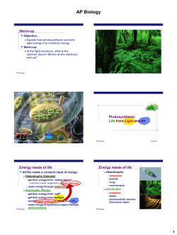 AP Biology