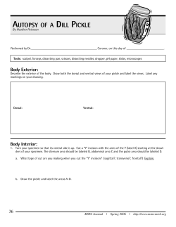 AUTOPSY OF A DILL PICKLE