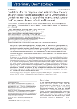 Guidelines for the diagnosis and antimicrobial therapy