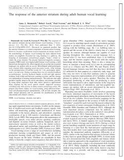 The response of the anterior striatum during adult human vocal