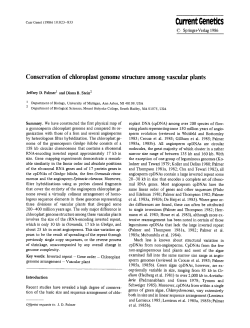 Conservation of chloroplast genome structure among vascular plants