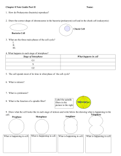Chpt 8 Note Guide Pt 2