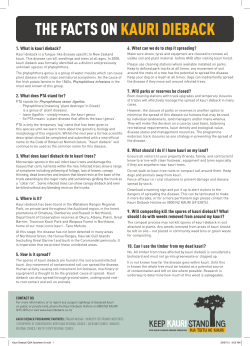 THE FACTS ON KAURI DIEBACK