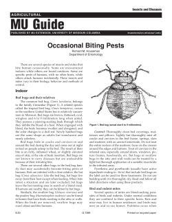 Houseman, R.M. Biting Insects. 2003. Insect and Disease