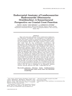 Endocranial Anatomy of Lambeosaurine