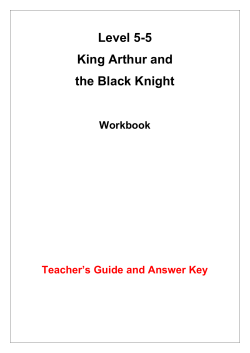 Level 5-5 King Arthur and the Black Knight