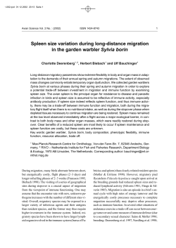 Spleen size variation during long-distance migration in the garden