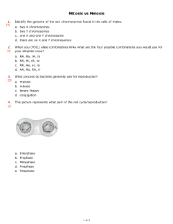 Mitosis vs Meiosis 18 19 20 21