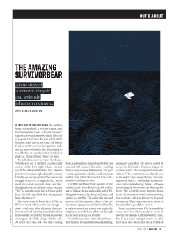 the amazing Survivorbear - National Magazine Awards