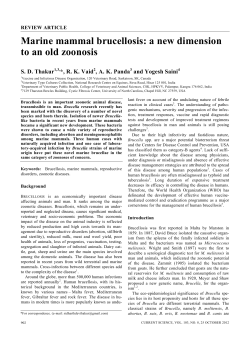 Marine mammal brucellosis: a new dimension to