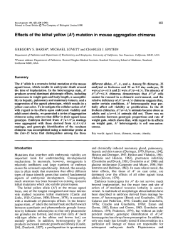 Effects of the lethal yellow (A*) mutation in