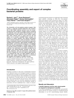 Coordinating assembly and export of complex bacterial proteins