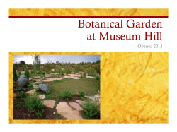 Botanical Garden at Museum Hill