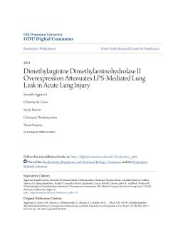 Dimethylarginine Dimethylaminohydrolase II Overexpression